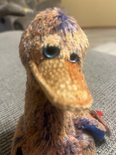 Beanie baby dinky dodo - ty,